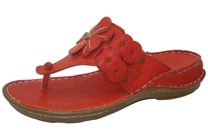 σαγιονάρα δίχαλο