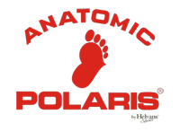 Polaris Anatomic